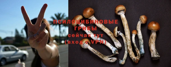 эйфоретик Абаза