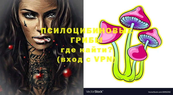 эйфоретик Абаза