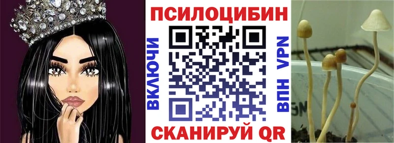 Псилоцибиновые грибы MAGIC MUSHROOMS  МЕГА как войти  Харабали 